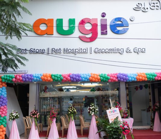 Augie – Champions of innovation in pet care