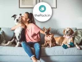 Connect with India’s top Dog Experts thepack.in