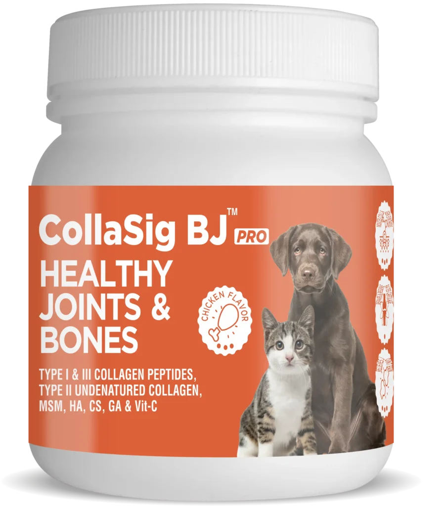 Signate's CollaSig BJ Pro supports healthy joints for active pets