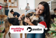 Muttley Crew and Goodoo Animal Welfare Trust Partner to Bring Festive Joy to Rescue Dogs