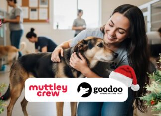 Muttley Crew and Goodoo Animal Welfare Trust Partner to Bring Festive Joy to Rescue Dogs