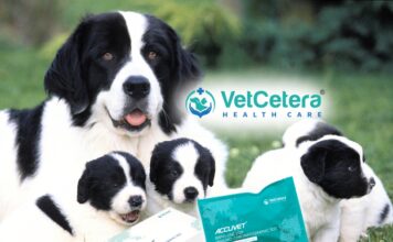 Dog pregnancy detection test