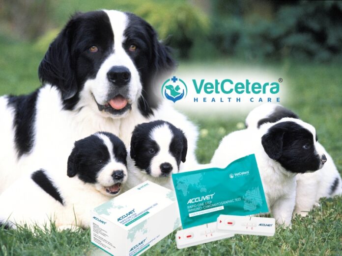 PetbizIndia Featured iMAGE VETCETERA 800 x 543 Dog pregnancy detection test