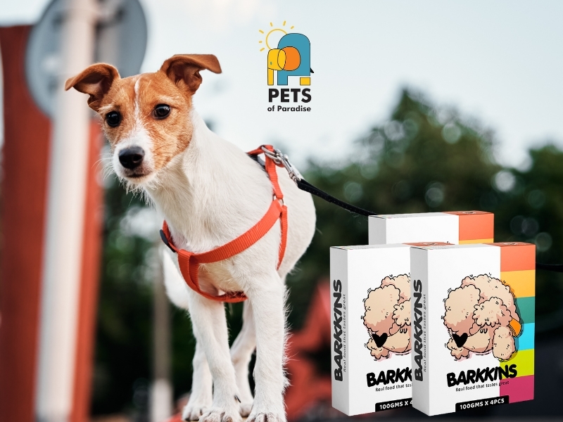 Barkkins ready-to-eat home-style dog food