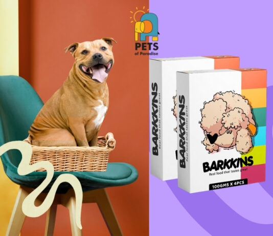 Pets of Paradise Launches Barkkins to enter India’s fresh dog food segment Pets of Paradise launches Barkkins fresh dog food range