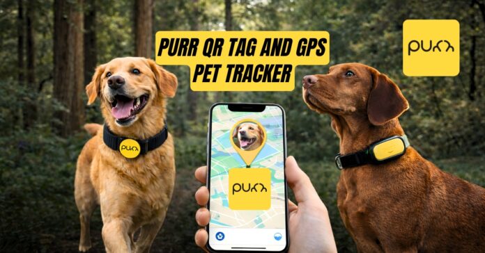 EDUPET POST BANNER -purr FEATURED IMAGE petbiz2