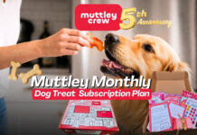 muttley crew monthy treat subscription plan