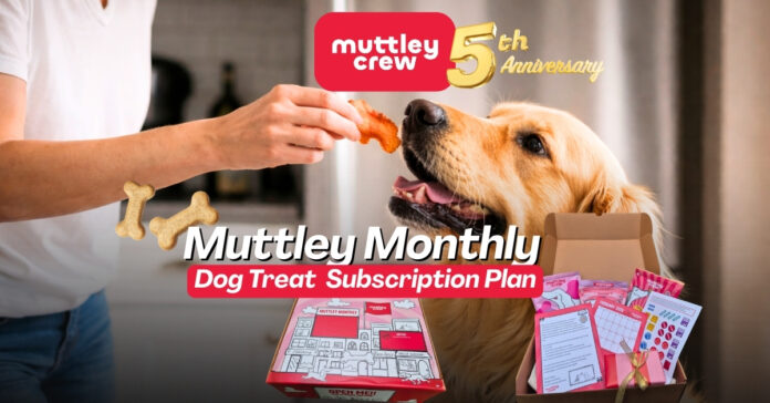 pet biz muttley crew monthly FEATURED IMAGE muttley crew monthy treat subscription plan