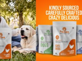 Be Pawsome Natural Air-Dried Chicken Jerky for Dogs
